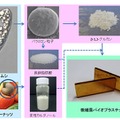 ミドリムシ/カシューナッツ殻から微細藻バイオプラスチックへの製造工程
