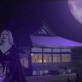 GACKTの新曲「サクラ、散ル…」MVに出演する早乙女太一