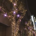 カラフルなイルミが新宿の街を包む！ 11月11日から
