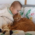 【動画】仲良く寄り添う赤ちゃんと猫