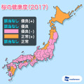 日本の桜が危ない？！健康度は昨年に続き過去最悪を継続