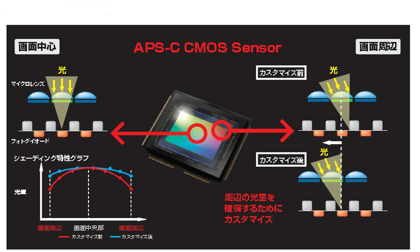 大型APS-Cサイズの1,230万画素CMOSセンサーの仕組み