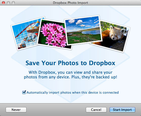 写真のバックアップは新しいDropboxの目玉機能となっている