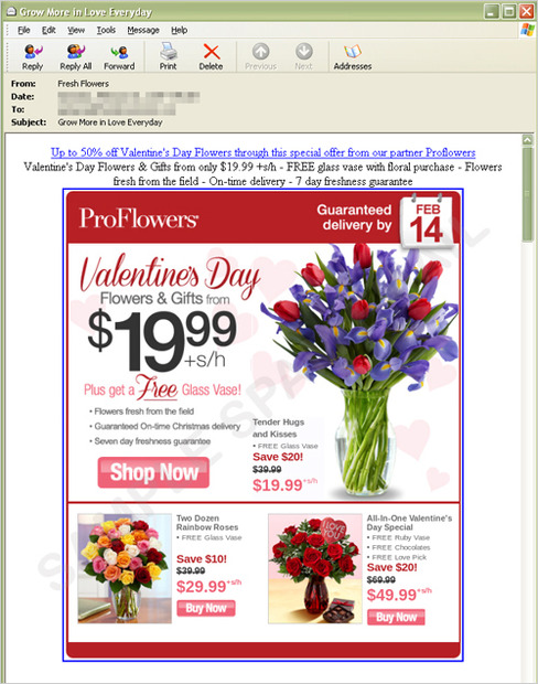 バレンタインデー用花束の販売広告メール