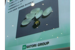 【ESEC 2011（Vol.8）】米粒よりも小さい「3軸微振動検知センサ」を展示……ジーデバイス 画像