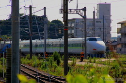 本線引退の新幹線100系、ゴースト編成はどうなる…？ 画像