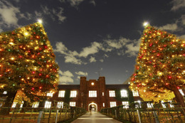 【クリスマス】立教大学でクリスマスツリー点灯式　12月4日 画像