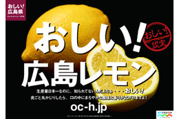 瀬戸内 広島レモンを使ったレシピ大募集 画像