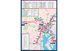 【東京マラソン2013】数字・数字・数字……みかん82年分 画像