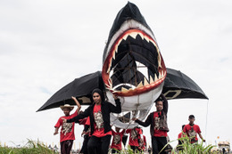 巨大なサメの凧も登場……Bali Kite Festival 画像