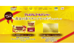 純金のメンバーカード!? “日本一カレーにうるさい女優”がキャンペーン 画像