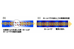 “光で電気の流れを止める”技術、東工大＆東北大が発見……超高速光スイッチに道 画像