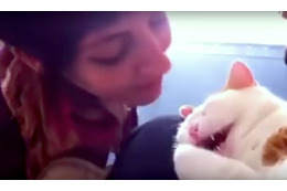 【動画】寝ている猫にお姉さんが優しくキスすると？ 画像
