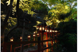 新緑の京都で初夏限定の青もみじライトアップ！瑠璃光院の特別拝観も初実施 画像