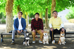 渋川清彦ら、おっさん3人が柴犬を連れて無駄話......連続ドラマ＆映画「柴公園」の製作が決定 画像