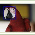 ペット認識のイメージ（小鳥）