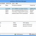 SoftEther VPN Client Manager Main Window