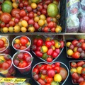 世界のトマト約50種類も出店