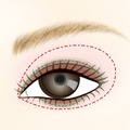 （1）スマートアイズ　ホワイトE　PK10をアイホール全体と下まぶたにぼかします。（2）スマートアイライナー　BR88で上まつ毛の際に黒目の上の部分くらいをやや太めに描き、下まつ毛の際にも描きます。（3）スマートアイズ　ブラックＦ　BR55を上まぶたに描いたスマートアイライナーに重ねるようにぼかし、さらに下まぶたも瞳の真下が丸くなるように中央部分のみ重ねます。