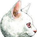 ヒグチユウコが描いた「メラントリック ヘムライト」の白猫