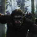 『猿の惑星：新世紀（ライジング）』場面　(c) 2014 Twentieth Century Fox