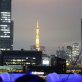 出航すると進行方向右手に見えてくる東京タワーも【写真：田中】