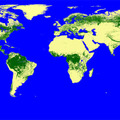 全球森林マップ