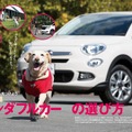 交通タイムス『愛犬と乗るクルマ』