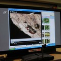 「eZUKAN」でカブトムシの動画を再生している画面