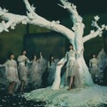 櫻坂46 4thシングル『五月雨よ』初回仕様限定盤TYPE-Cジャケット写真