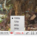 1080pの動画には4段階の画質選択項目が