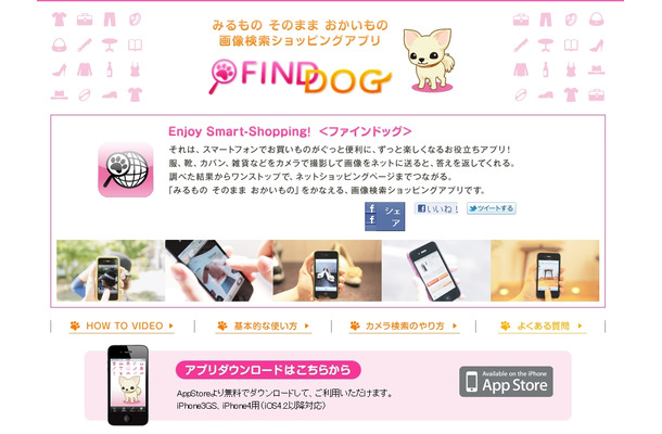 FINDDOG紹介サイト