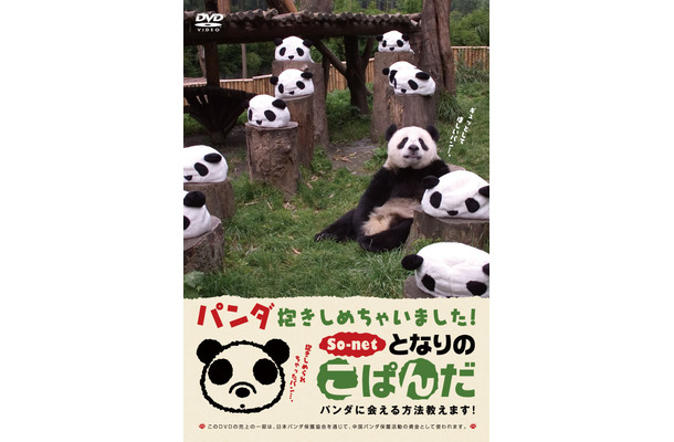 　子パンダの成長を見守るブログ「となりのこぱんだ」（So-net提供）に22日、弟パンダの「QQ（キューキュー）」が新しく登場した。
