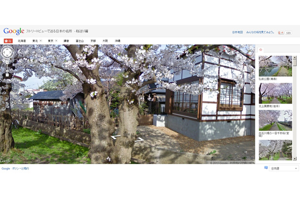 弘前公園の桜