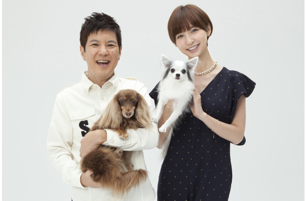 新番組『ペットの王国　ワンだランド』MCの関根勤（写真左）と篠田麻里子（写真右）