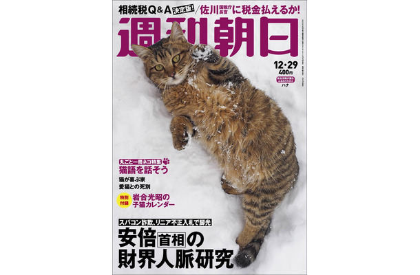 95年の歴史で初めて表紙が猫に！明日19日発売の「週刊朝日」は丸ごと一冊が猫だらけ