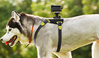 犬目線の撮影も可能！ ソニー、サーフボードマウントなどアクションカメラ用アクセサリ8製品 画像