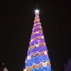 USJ、世界一のクリスマスツリー点灯 画像