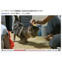 【コンパクトデジカメで猫動画 Vol.4】フルハイビジョンの猫（その1） 画像