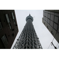 世界一となった東京スカイツリーを写真でチェック 画像
