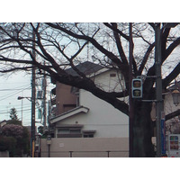 【地震】東京電力、24日の第2～4グループの実施を見送り 画像