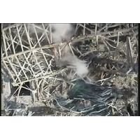 【地震】TBS News-iチャンネル、福島第一原発のライブ観測映像を配信 画像