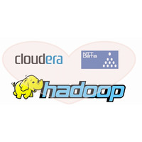 NTTデータ、米国ClouderaのHadoop製品「CDH3」の販売・サポートを開始 画像