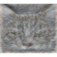 Google、脳のシミュレーションで成果……猫を認識 画像