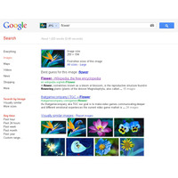 Googleの画像検索が進化、花の種類まで判別して検索 画像