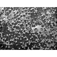 ミッション最大の謎……火星で発見された粒子 画像