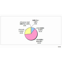 ゲーミフィケーション、7割以上の教員が「教育効果あり」と回答 画像