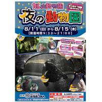 【夏休み】旭山動物園21時までの「夜の動物園」開催 画像