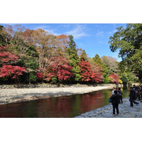 今年も紅葉シーズン到来！　紅葉が美しいオススメ観光スポット 画像