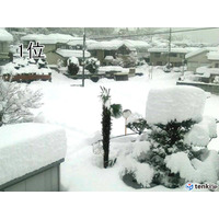 2014年の天気10大ニュース・ランキング発表……日本気象協会が選出 画像